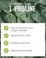 L-PROLINE.jpg