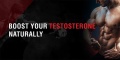 TESTOSTERON 2.jpg