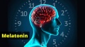 melatonina 7.jpg