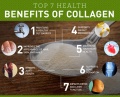 collagen.jpg