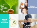 jojoba oil 5.jpg