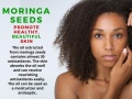 moringa 4.jpg
