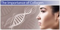 collagen 2.jpg