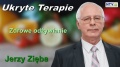 zięba.jpg