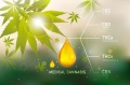 CBD.jpg