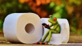 frog-1037247_1920.jpg