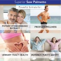 saw palmetto4.jpg