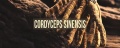 CORDYCEPS.jpg