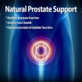 prostata.jpg