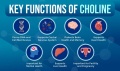 choline3.jpg
