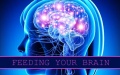 Feeding-your-brain.jpg