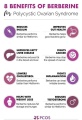 pcos-and-berberine.jpg