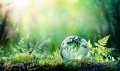 natura.jpg