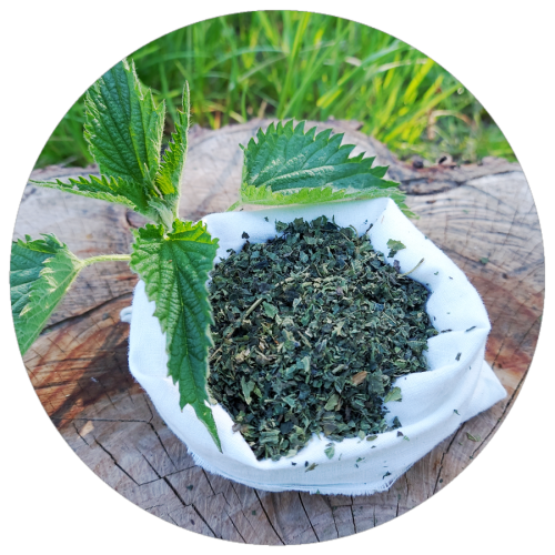 Pokrzywa zwyczajna liść suszony EKO 100g / G.E. Wojtkowski