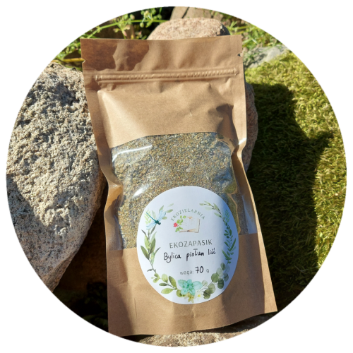 Bylica piołun liść suszony EKO 70g / G.E. Wojtkowski