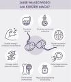 wlasciwosci-lecznicze-korzenia-maca.jpg