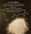 L - CITRULINE POWDER 200g. / DOCTOR'S BEST