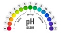 How-to-balance-the-ph-in-the-body.jpg