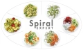 2-1024x620.webp