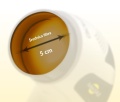 5 cm mm.jpg
