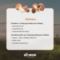 wlasciwosci-shiitake.jpg