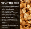 SHIITAKE.png