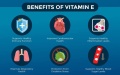 Vitamin-E.jpg