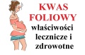 kwas-foliowy-wlasciwosci.jpg