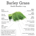 Barley-grass.webp