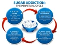 sugar-addiction-cycle.webp