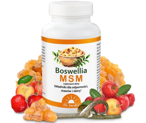 Boswelia MSM - wsparcie odporności, stawów i jelit - 90 tabl. / Dr. Jacobs