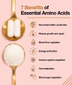 aminoacids.webp
