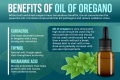 oregano.jpg