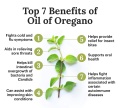 OreganoOil.jpg