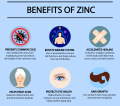 zinc-benefits.png