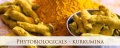 DR. RATH PHYTOBIOLOGICALS™ 60 KAPS