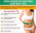 enzymy1.jpg