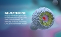 glutation4.jpg