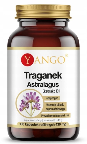 Astragalus Traganek błoniasty - ekstrakt 10:1 - 430 mg - 100 kaps. / Yango