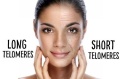 telomeres.jpg