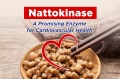 nattokinase-cardiovascular-health-en.jpg
