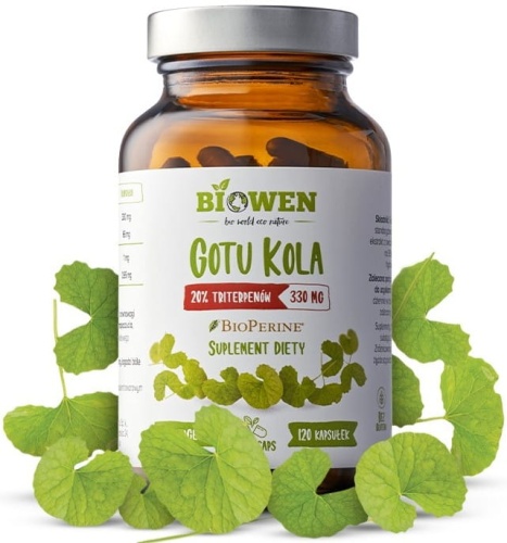 Adaptogen - Gotu Kola (wąkrotka azjatycka) 330 mg - 20% triterpenów - 120 kaps - Biowen / HempKing