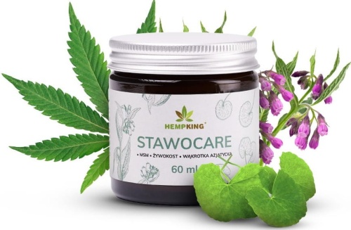 STAWOCARE - maść na stawy 60ml / HempKing 