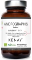 Andrographis_ParActin_60kaps(2).jpg