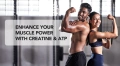 Maximizing_Muscle_Performance.webp