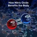 Nitric-Oxide.webp