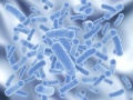 Probiotic.jpg