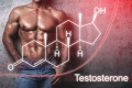 Testosterone.jpg