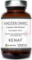 kadzidlowiec-formula-casperome-indena-phytosome-60-kapsulek.jpg