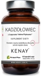 Kadzidłowiec Casperome® Indena Phytosome - układ kostno-stawowy - 60 kaps / Kenay 